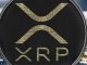 Six XRP Token Holders to Speak in Ripple-SEC Case as Circle Gets Subpoena