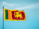 Sri Lanka commissions expert panel to study virtual assets