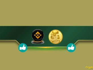 Important Binance Update for January 18th Concerning Dogecoin (DOGE)